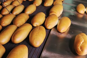 Cursus Bakkerijtechnologie