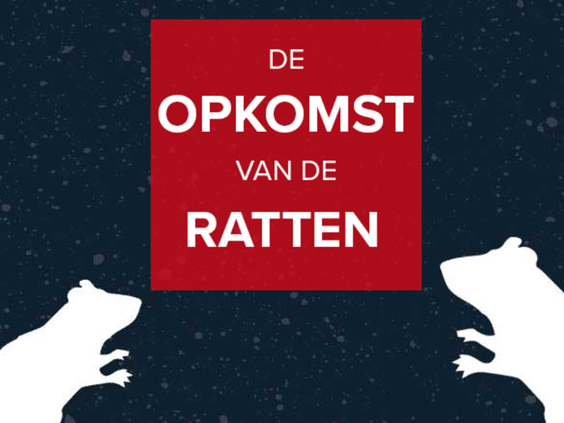 Rentokil onderzoekt hoe ratten zich voortplanten