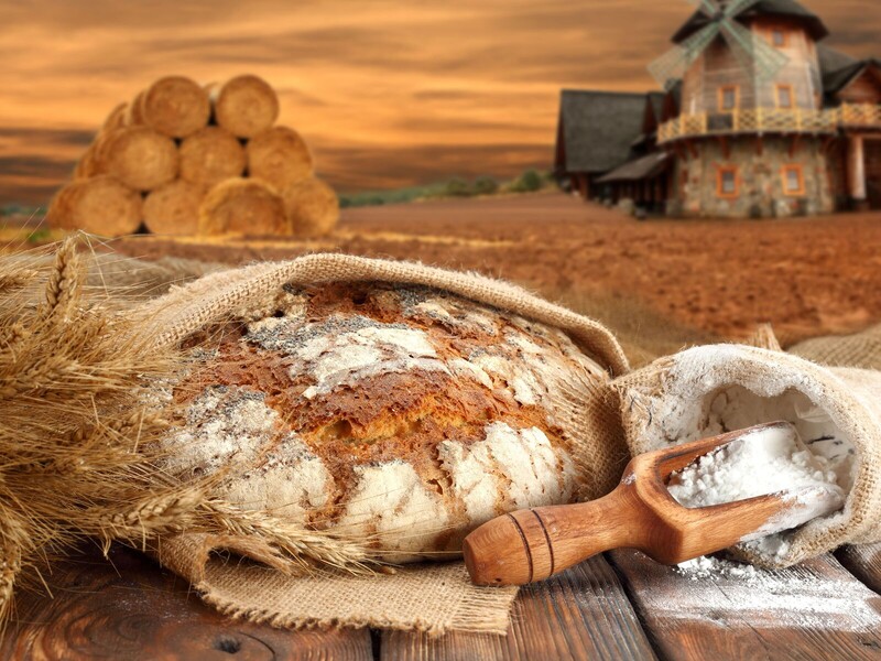 Lithos kondigt samenwerking voor yeast betaglucan PureMune aan