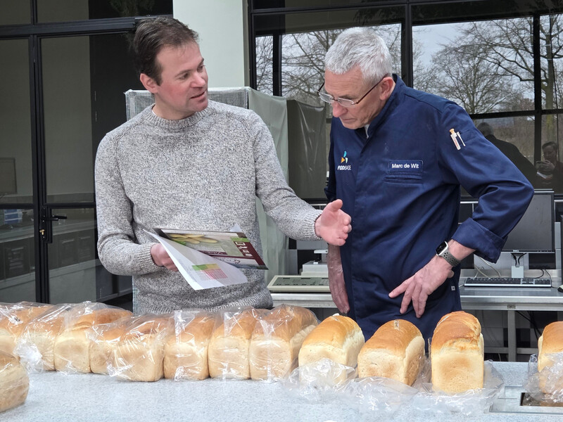 Betrouwbare bakkwaliteit leveren met minder stikstof vraagt om slimme keuzes&nbsp;