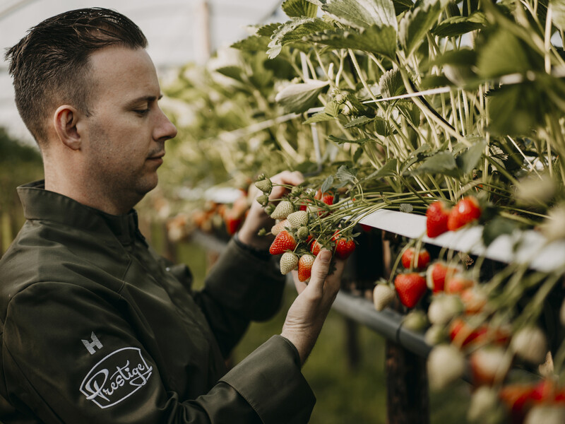 Prestige Fruit steunt bakkers met aardbeienactie